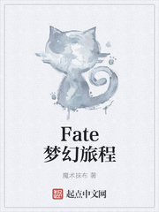 fate梦幻旅程笔趣阁